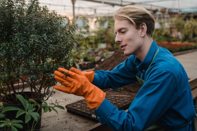 Maximo maintenance versus SAP plant maintenance: where each fits a mixed maintenance landscape