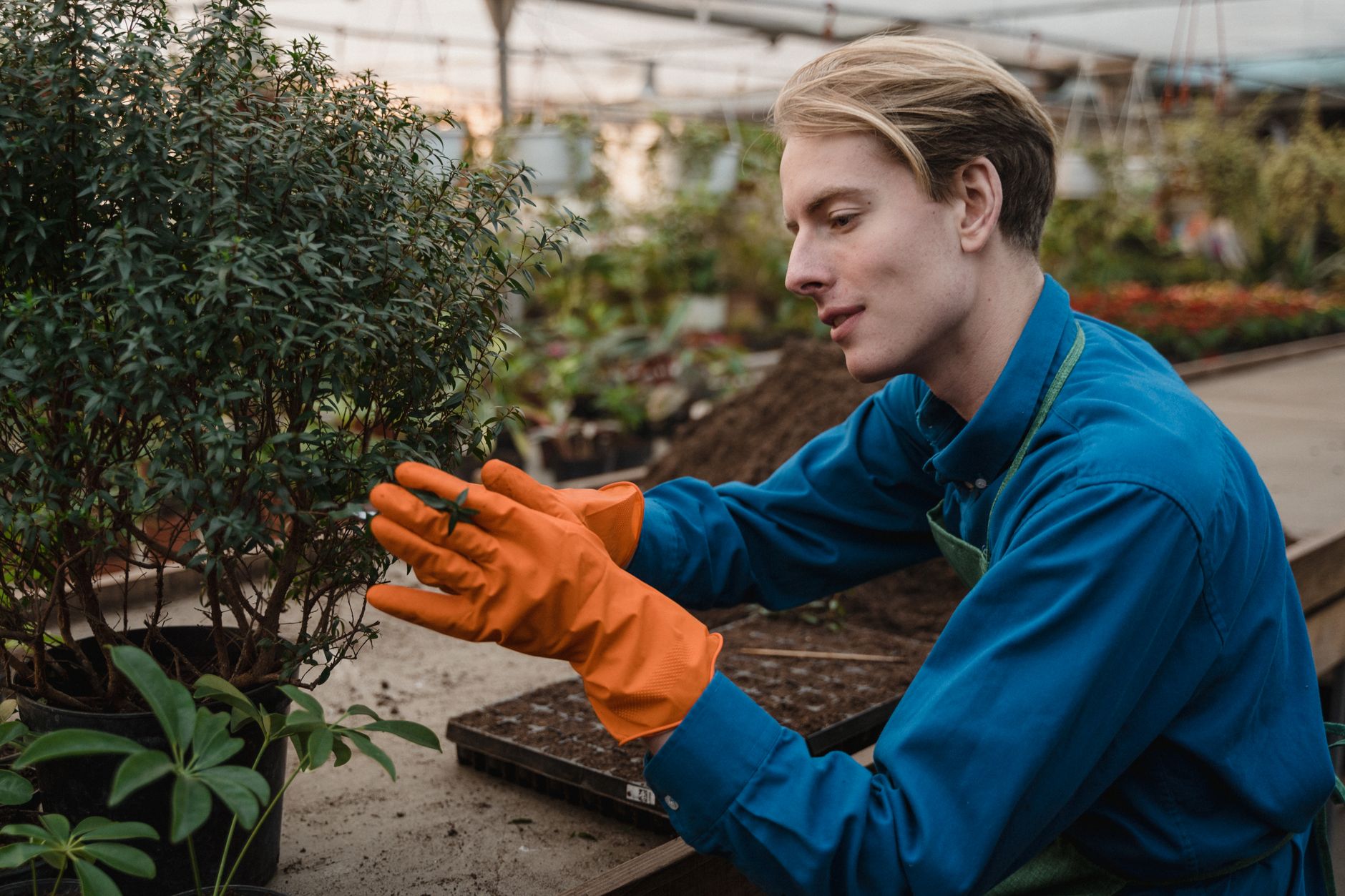 Maximo maintenance versus SAP plant maintenance: where each fits a mixed maintenance landscape