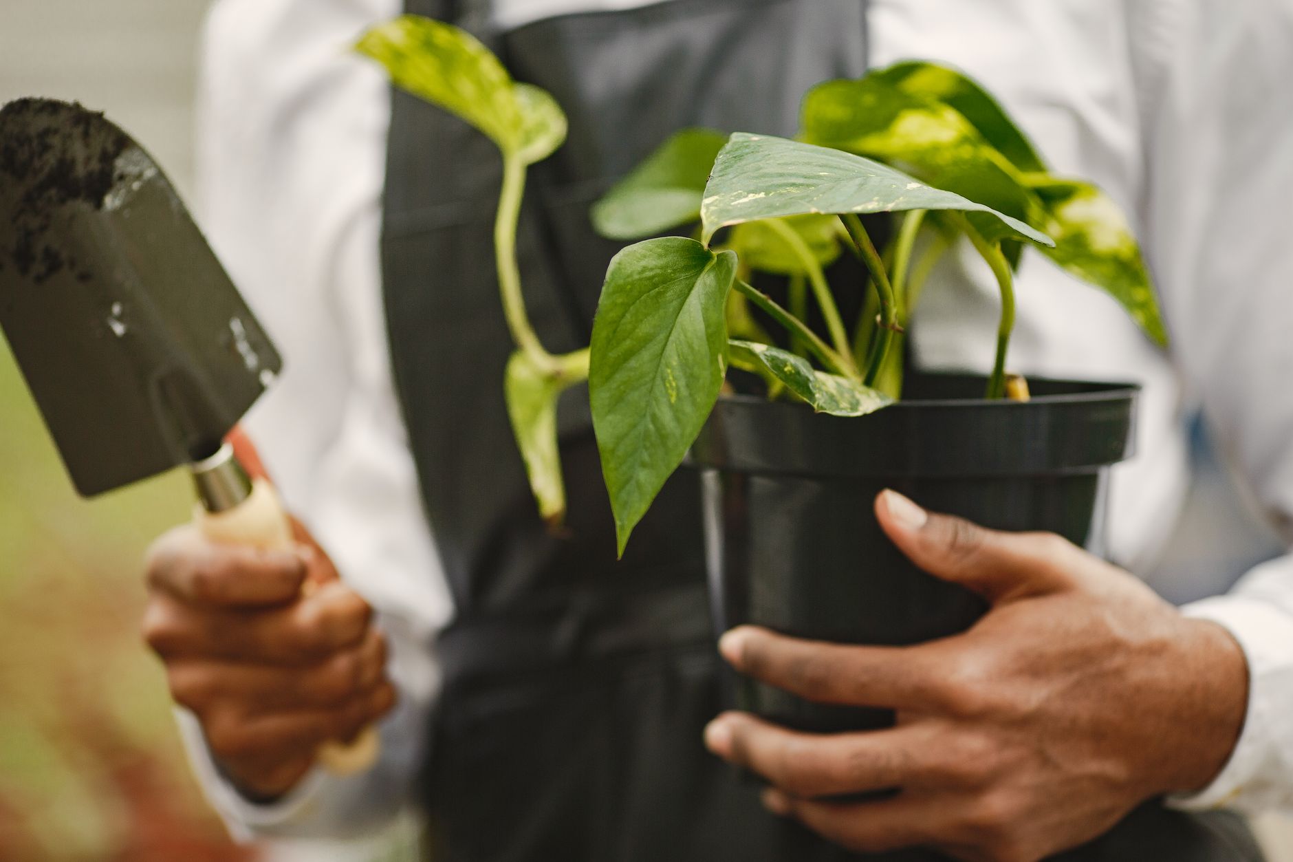 sap plant maintenance